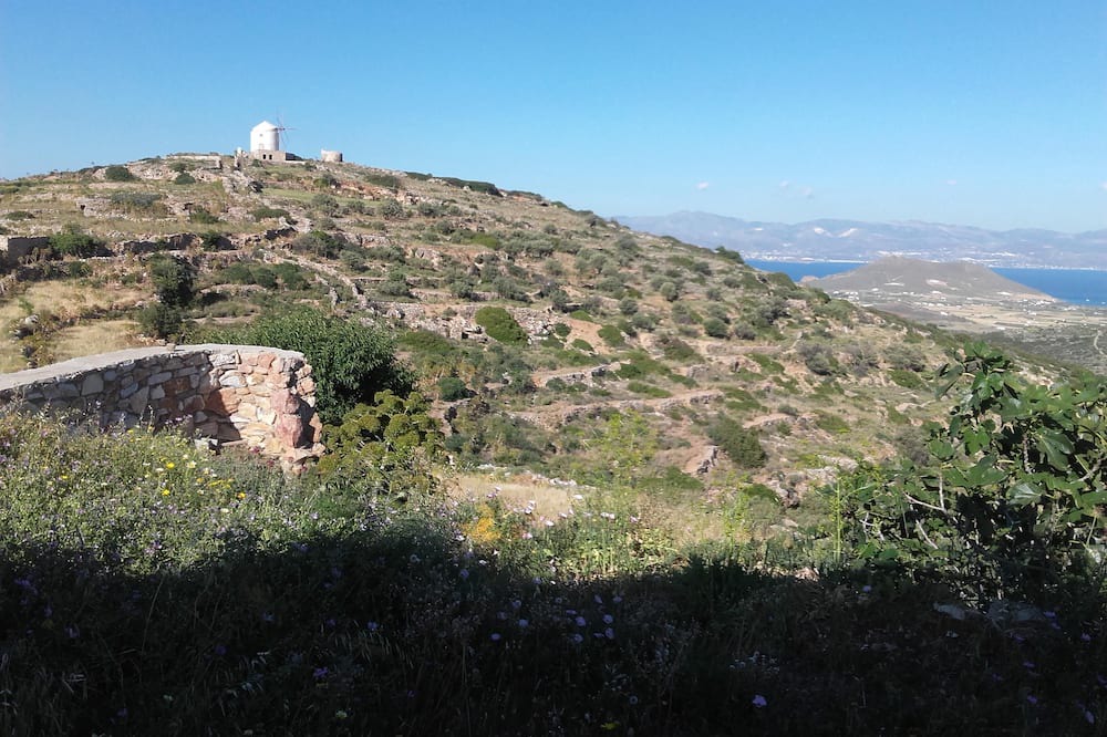 Photo of Outdoor in Lefkes
