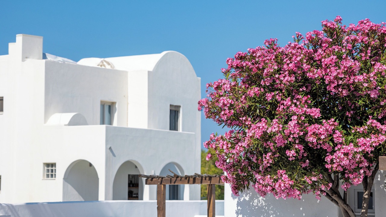 Photo of Outdoor in Agia Paraskevi