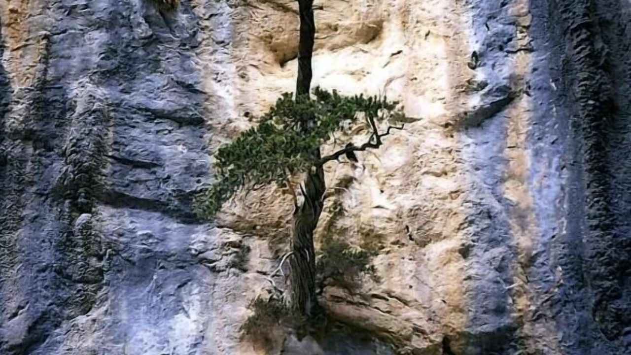 Photo of Outdoor in Omalos