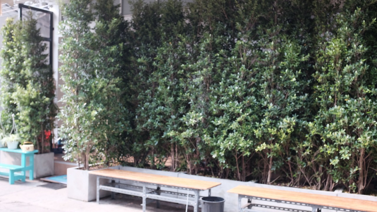 Photo of Outdoor in Ban Phan Thom