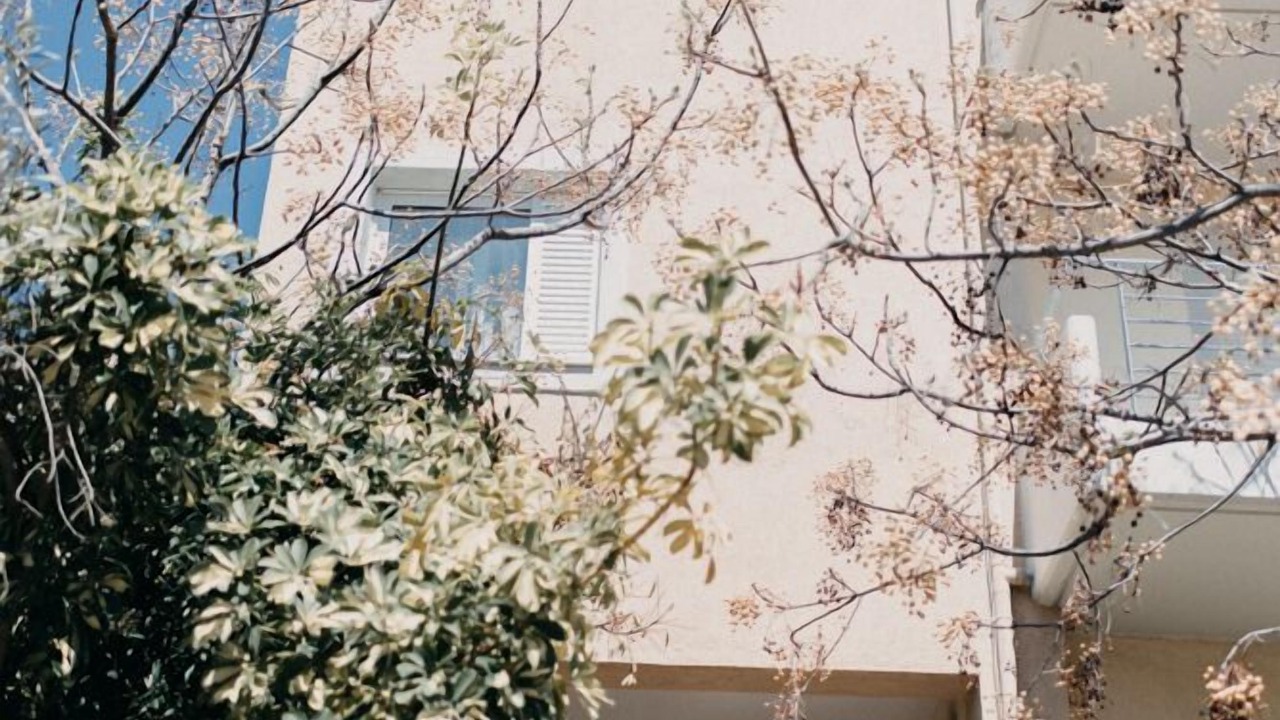 Photo of Outdoor in Patras