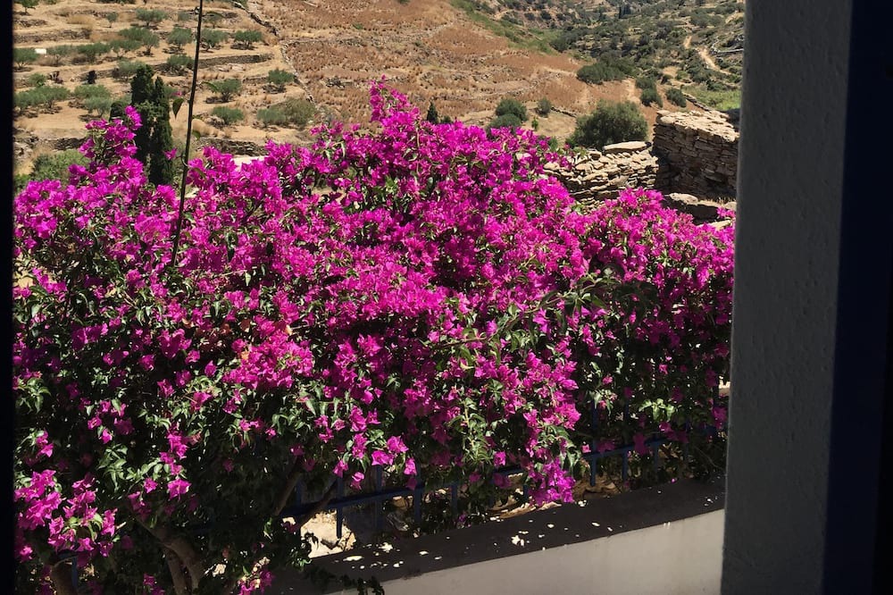 Photo of Others in Lefkes