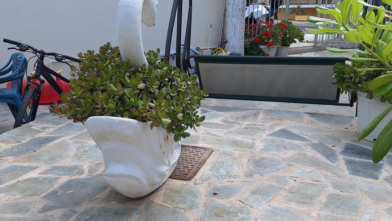Photo of Outdoor in Paralio Astros