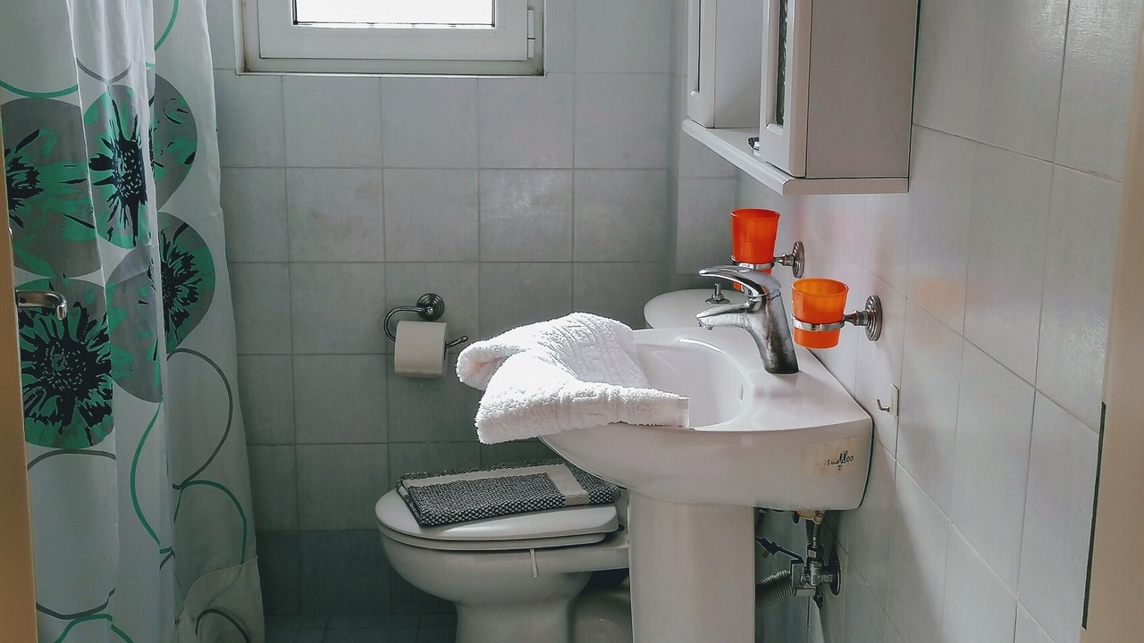 Photo of Bathroom in Paralio Astros