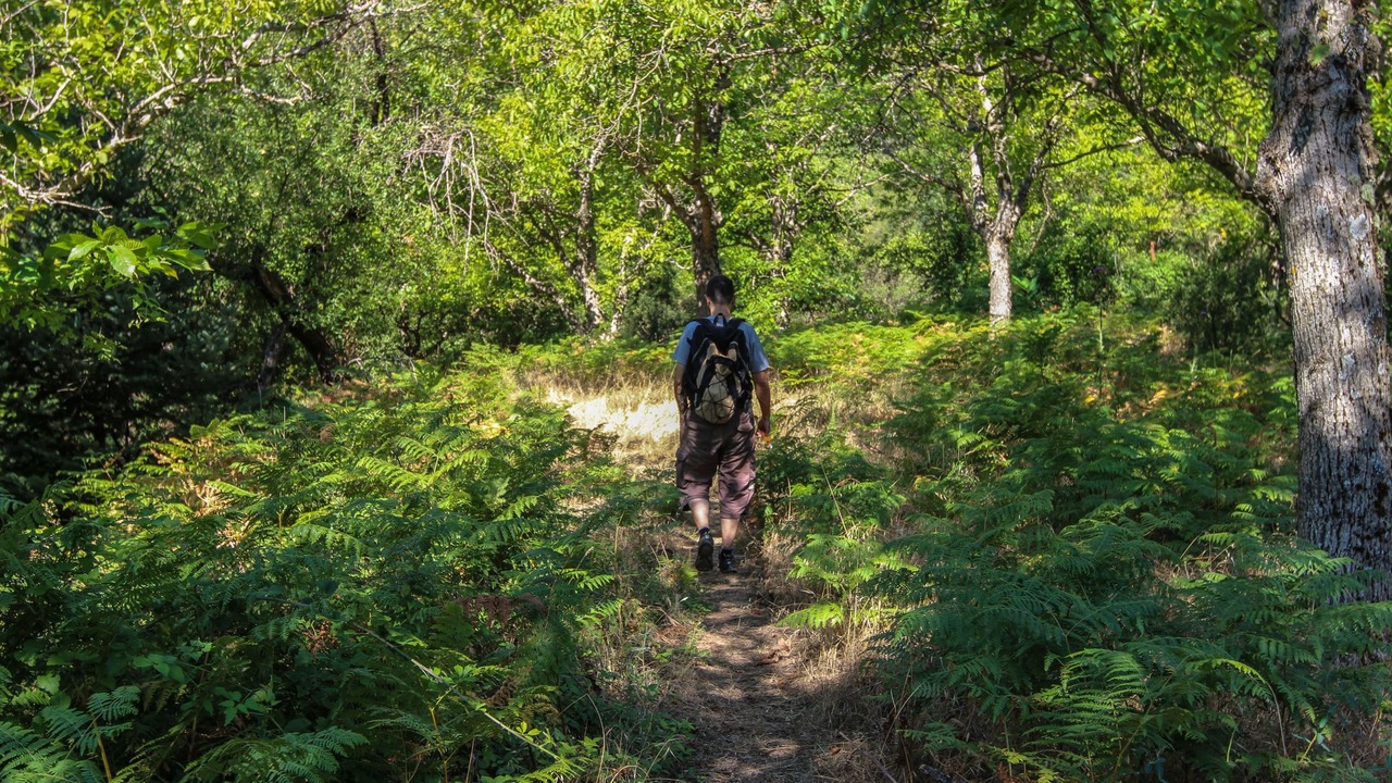 Photo of Outdoor in Vamvakou