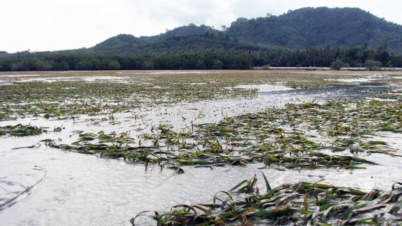 Photo of Outdoor in Ko Mook