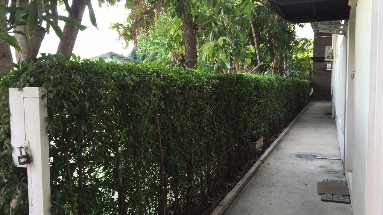 Photo of Others in Huai Kapi