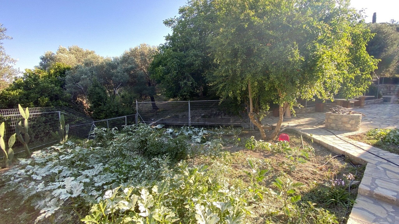 Photo of Outdoor in Vlachiana