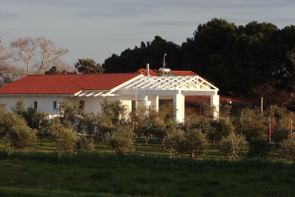 Photo of Outdoor in Ilida
