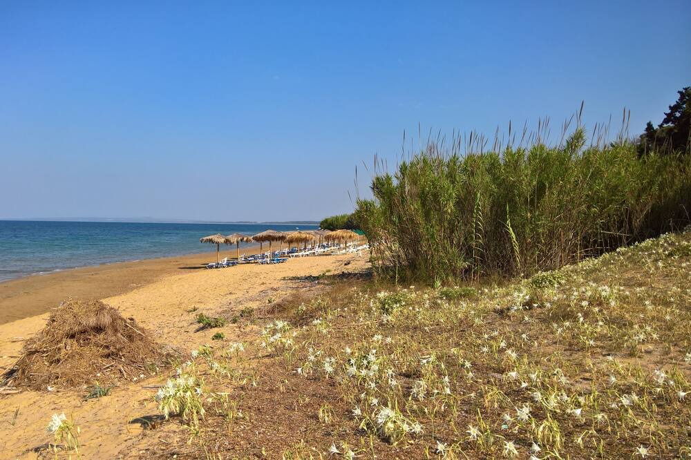 Photo of Others in Ilida