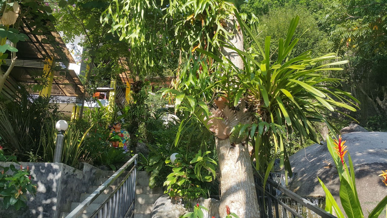 Photo of Others in Koh Tao