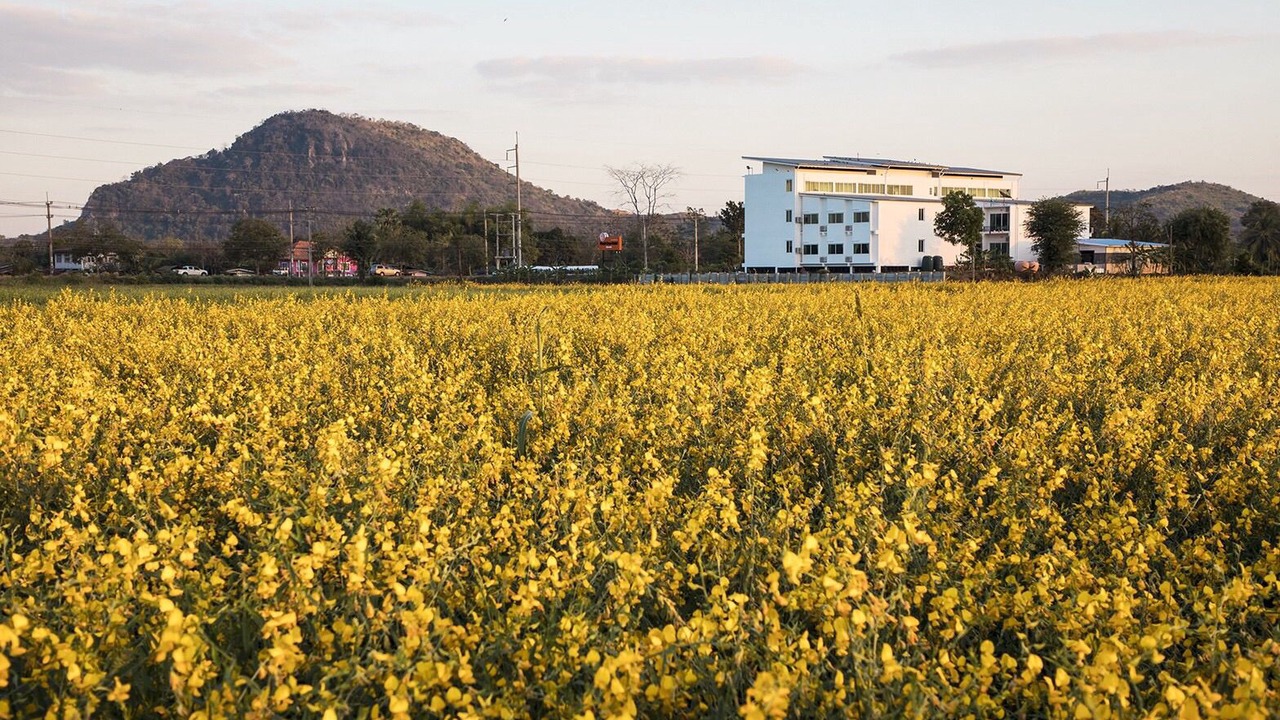 Photo of Outdoor in Bueang Sam Phan