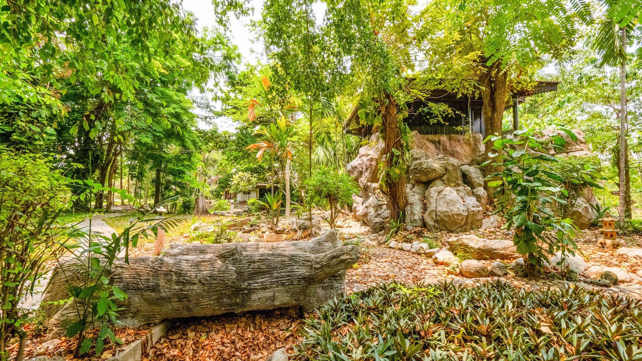 Photo of Outdoor in Mot Daeng