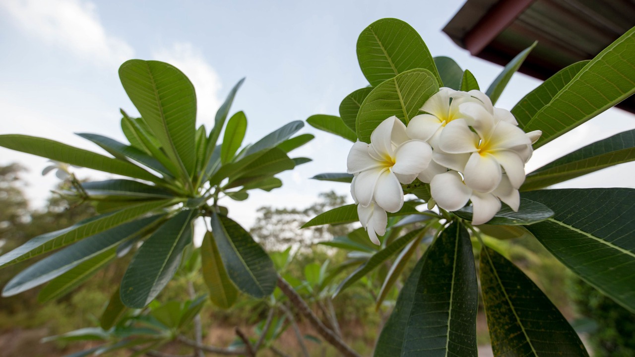 Photo of Outdoor in Ko Lanta