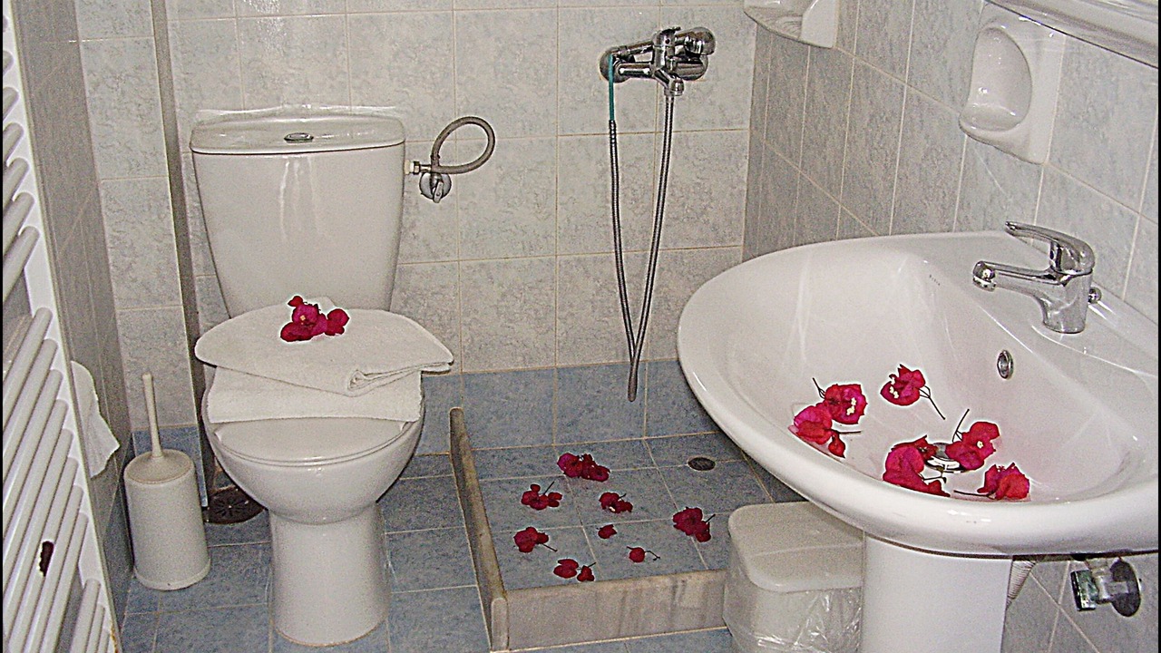 Photo of Bathroom in Limni Keri