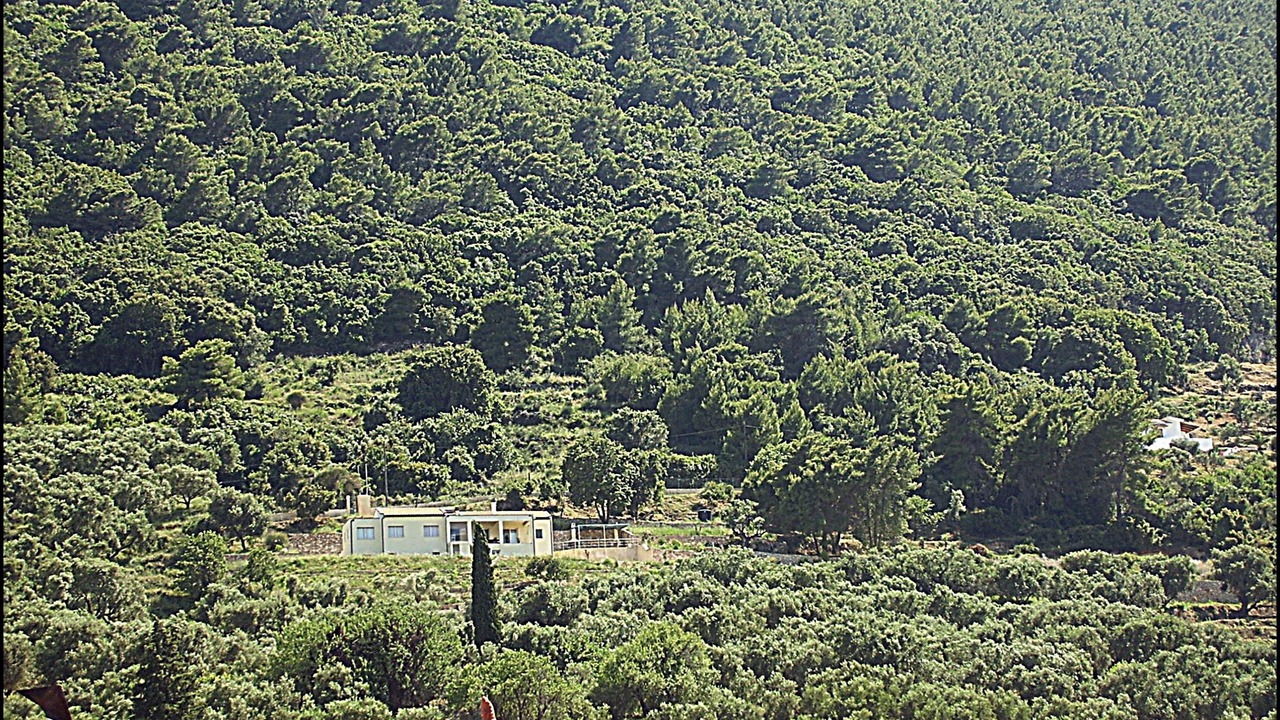 Photo of Bedroom in Limni Keri