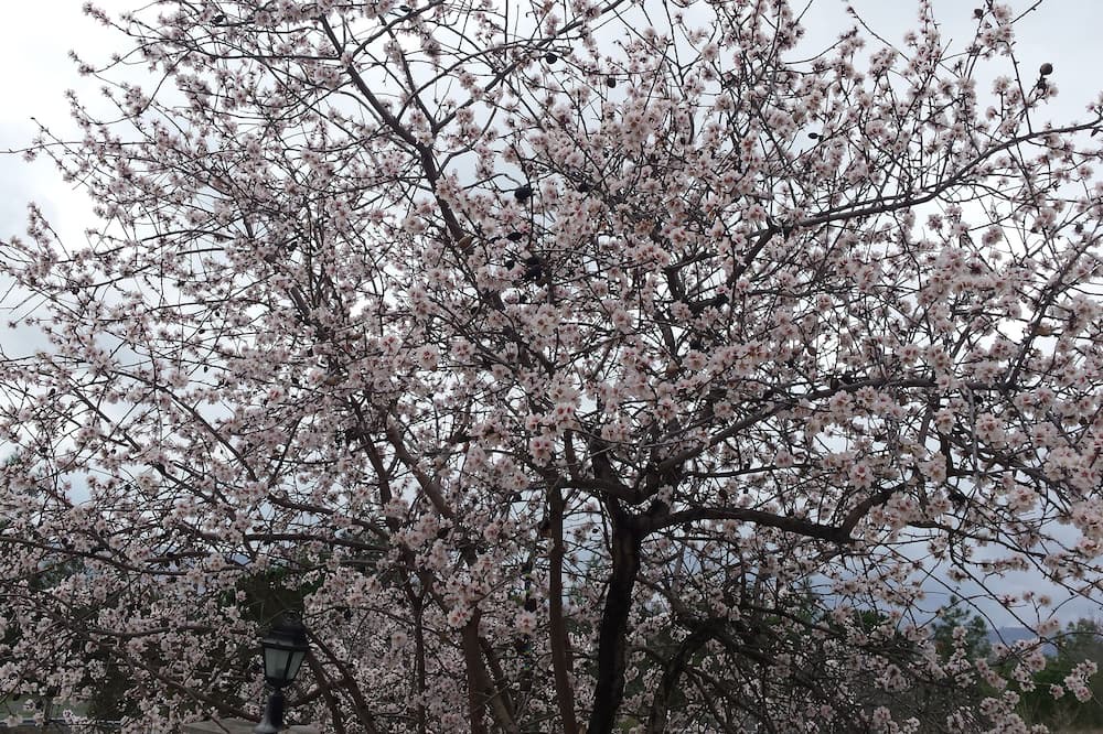 Photo of Outdoor in Vouni