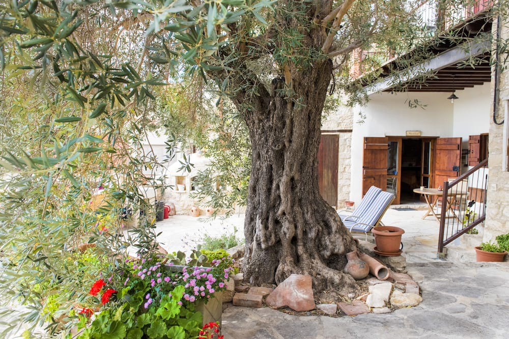 Photo of Outdoor in Vouni