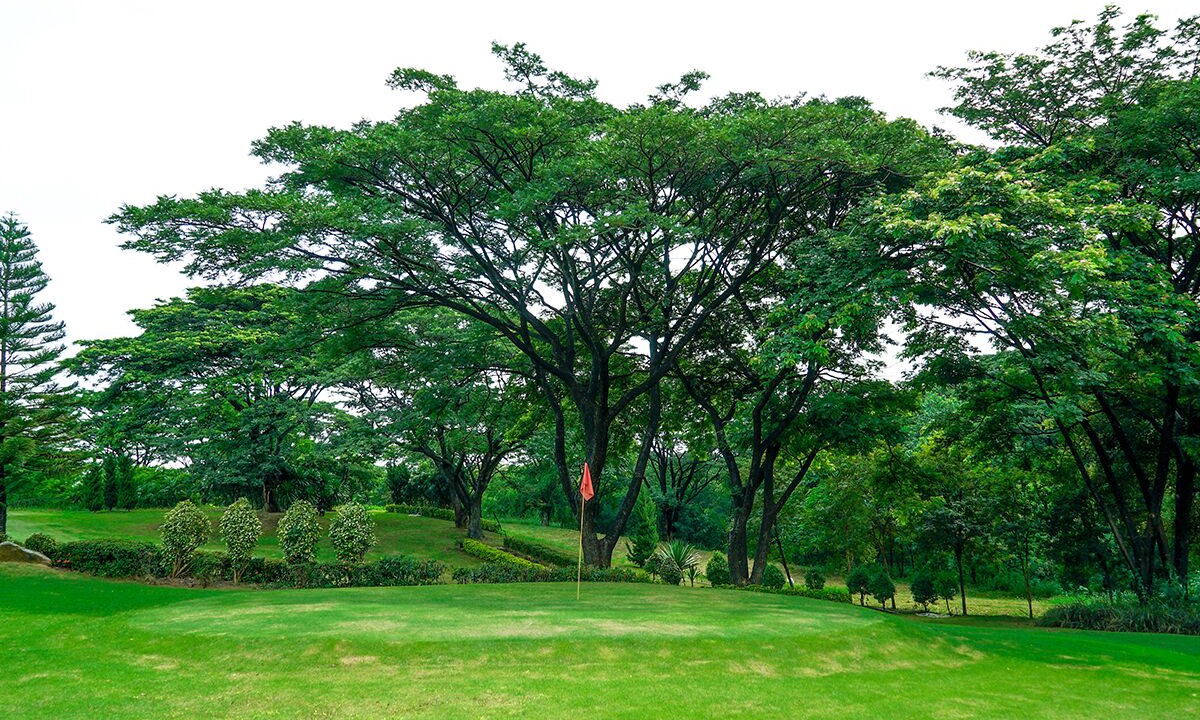 Photo of Others in Mittaphap