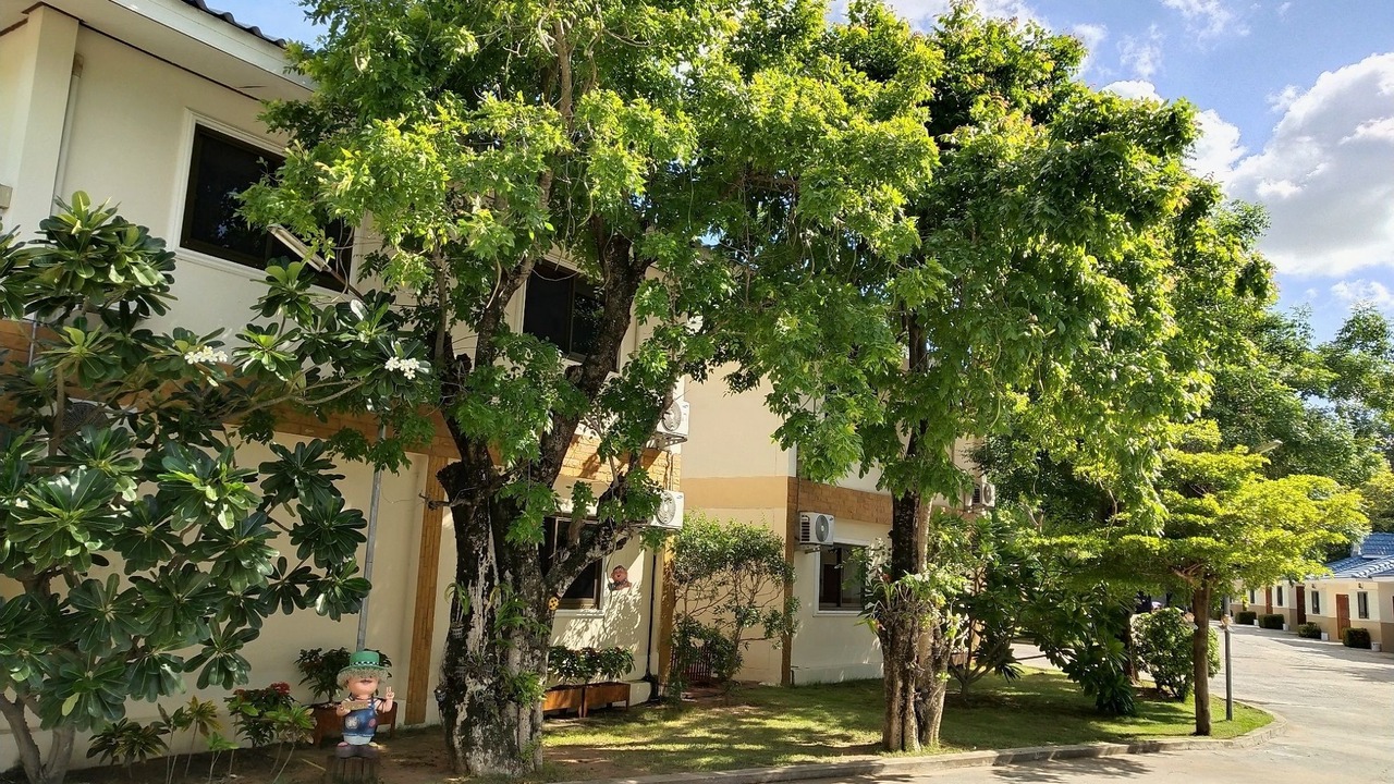 Photo of Outdoor in Nakhon Ratchasima