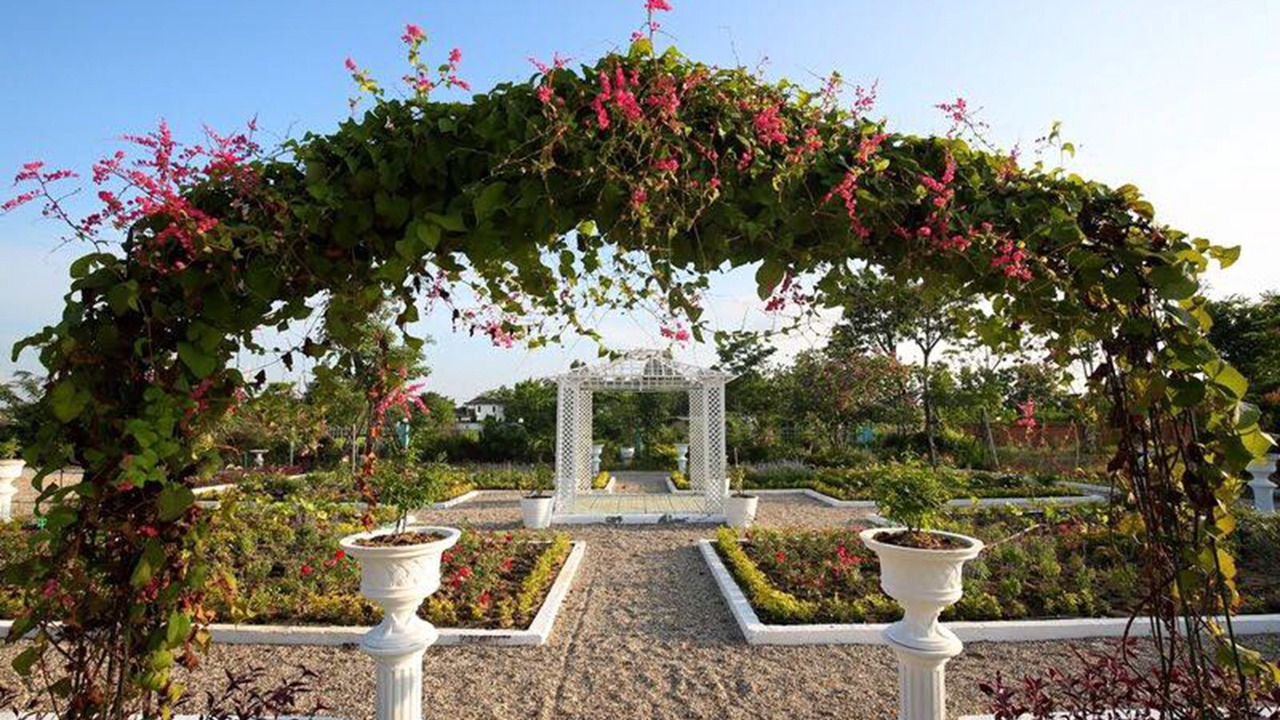 Photo of Outdoor in San Sai