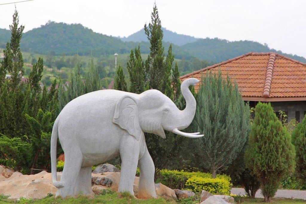 Photo of Outdoor in Nong Nam Daeng