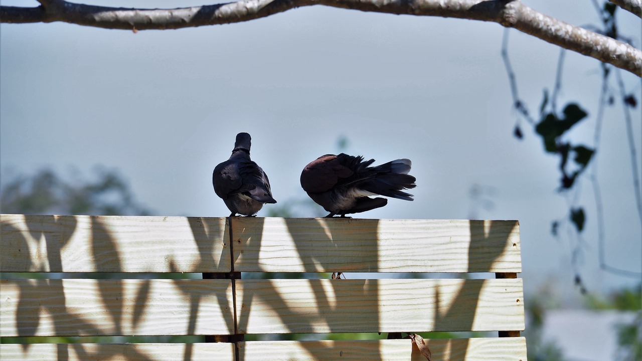 Photo of Outdoor in Thanyaburi