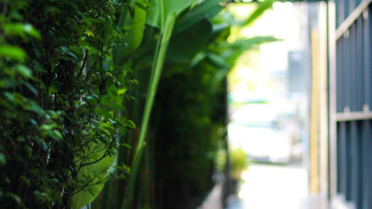 Photo of Outdoor in Talat