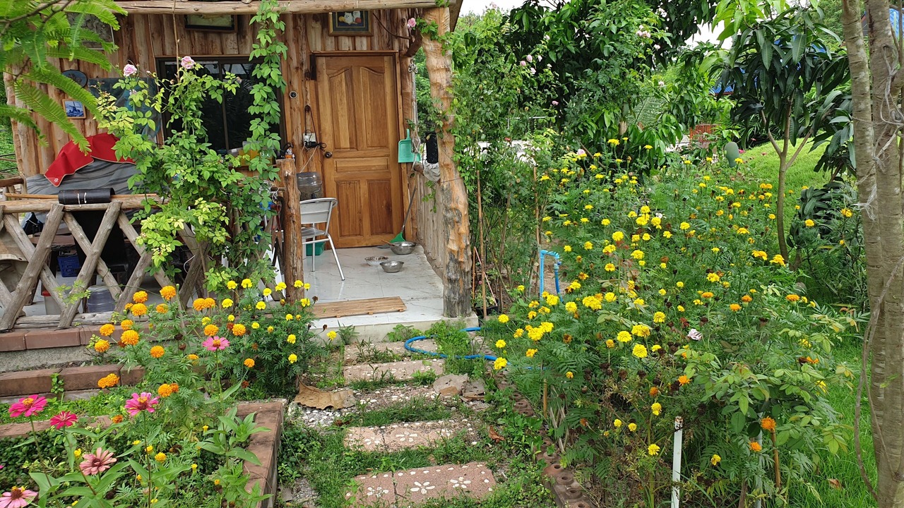 Photo of Outdoor in Pak Tho