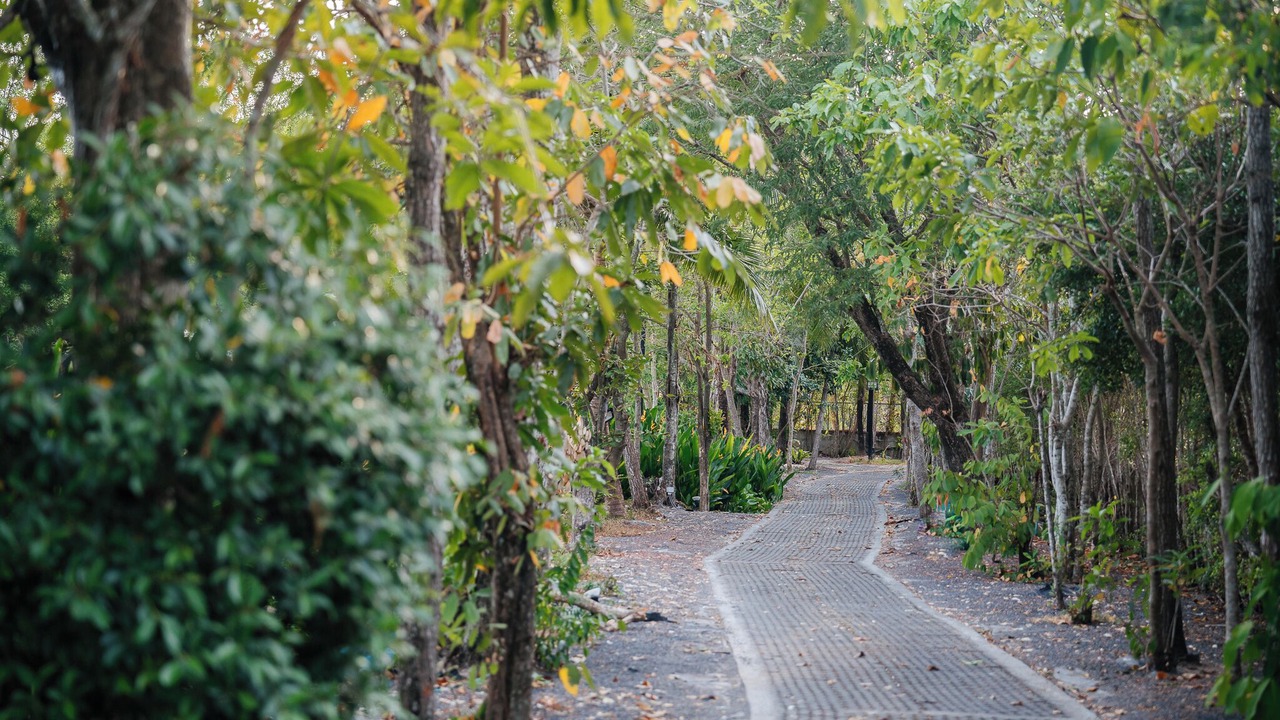 Photo of Outdoor in Hua Thanon