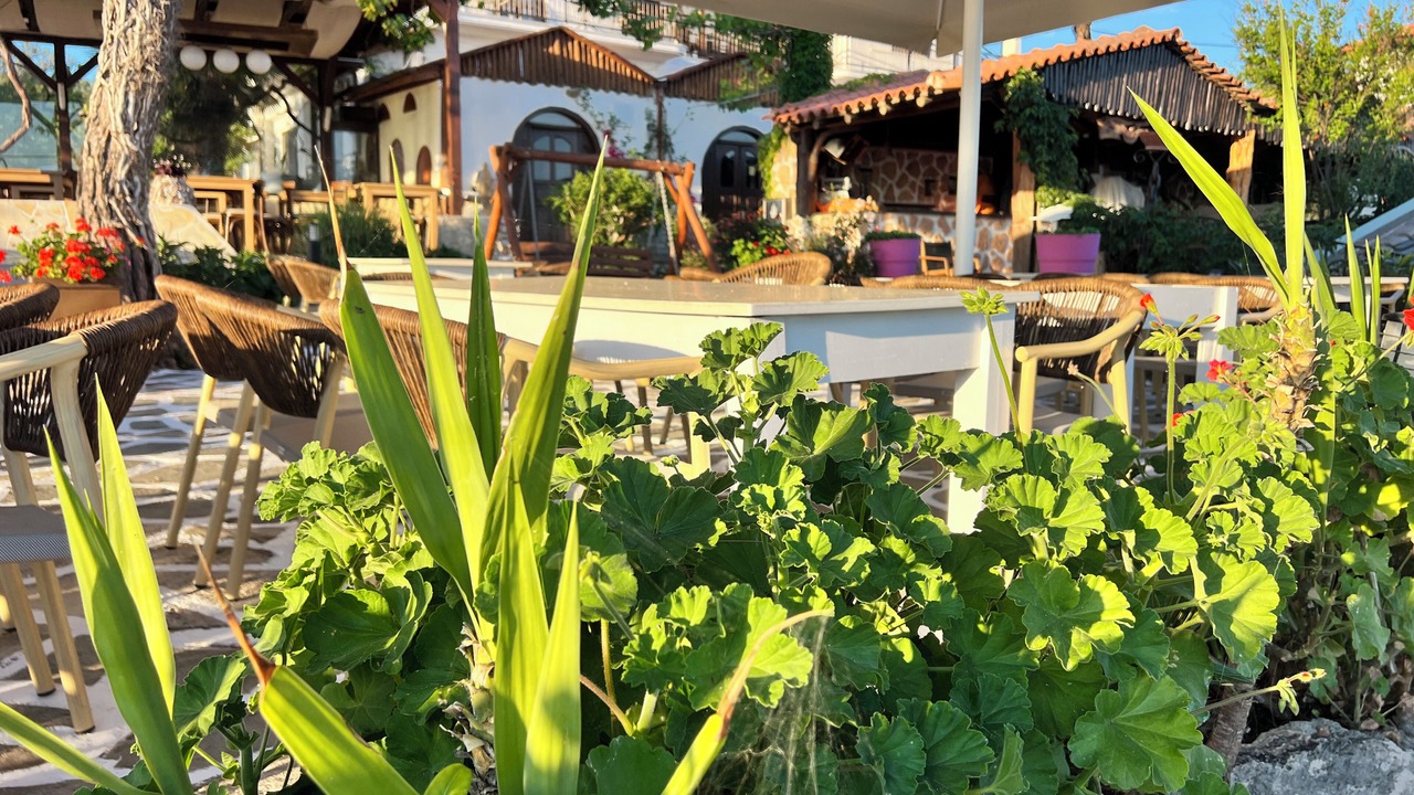 Photo of Outdoor in Pefkari