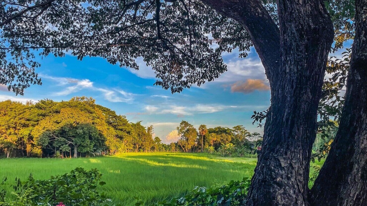 Photo of Outdoor in Huai Thap Than