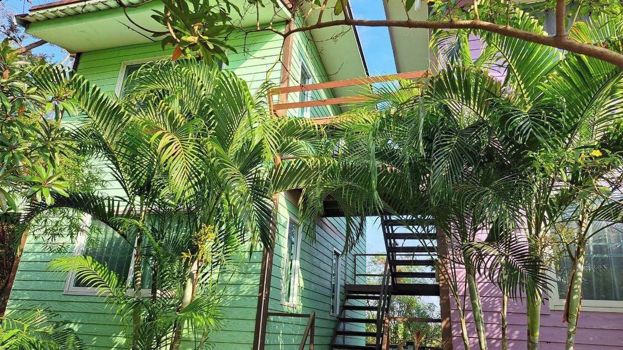Photo of Outdoor in Khlong Luang