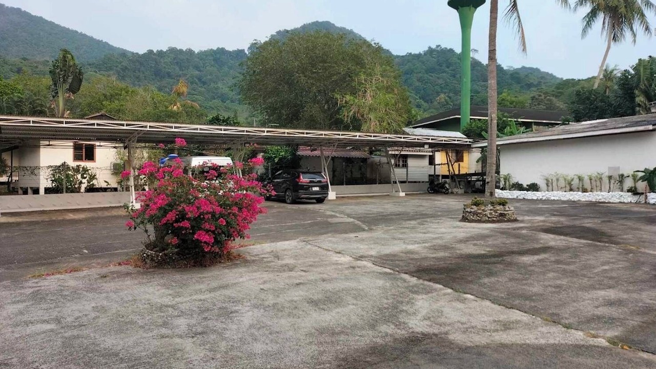Photo of Others in Bai Lan