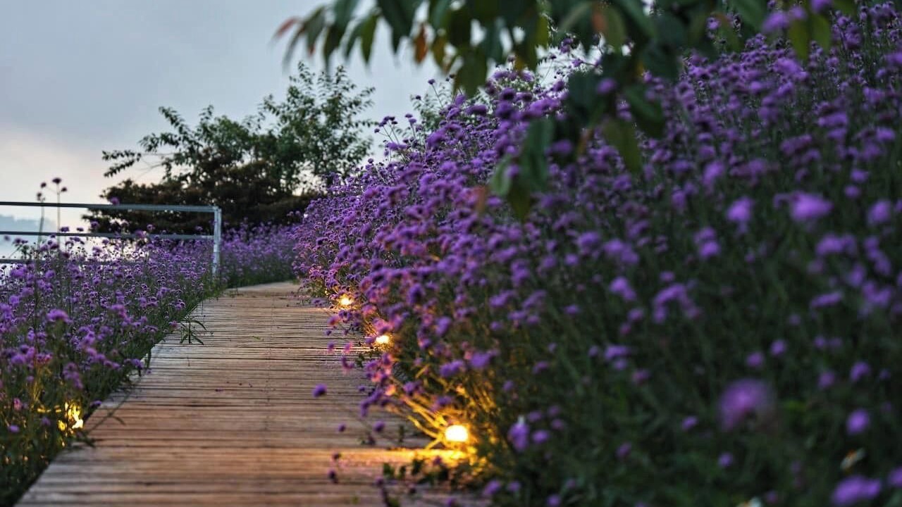 Photo of Outdoor in Mae Rim