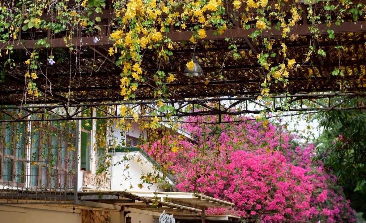 Photo of Outdoor in Udon Thani