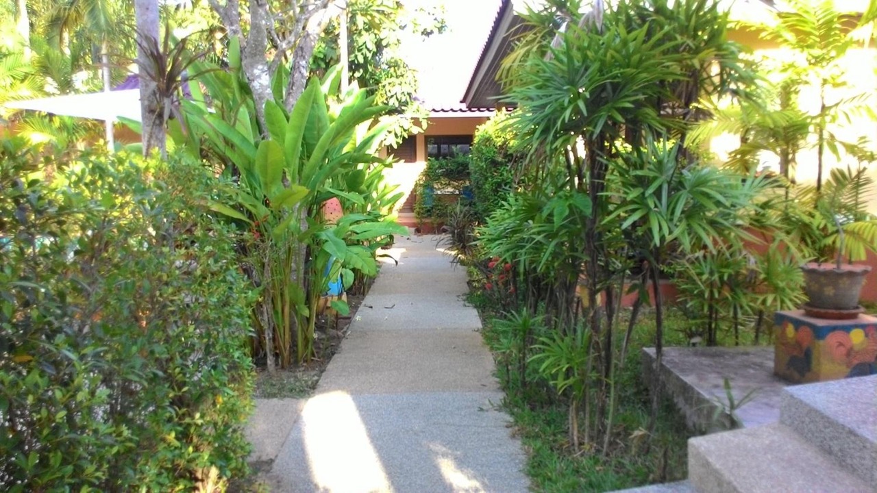 Photo of Outdoor in Chalong