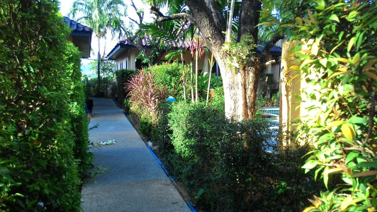 Photo of Outdoor in Chalong