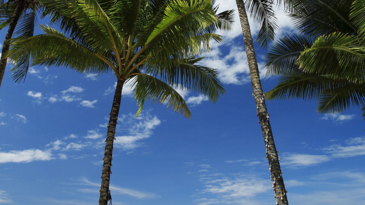 Photo of Others in Khao Lak