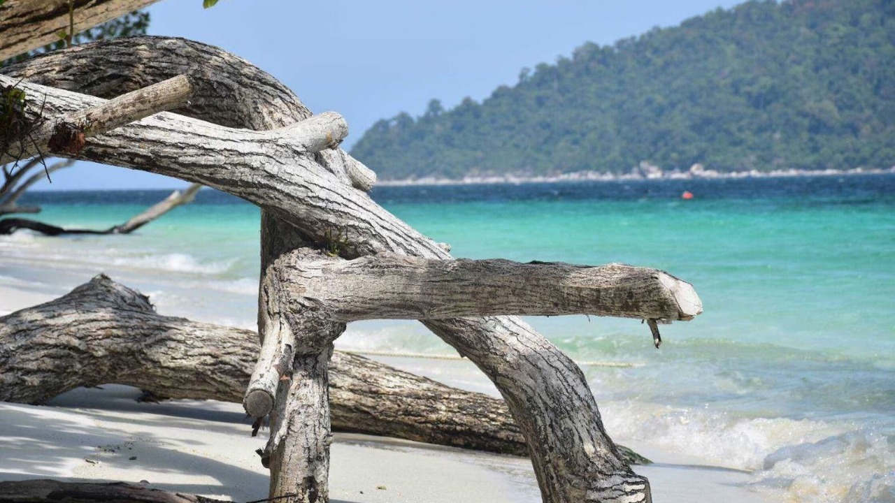Photo of Others in Satun