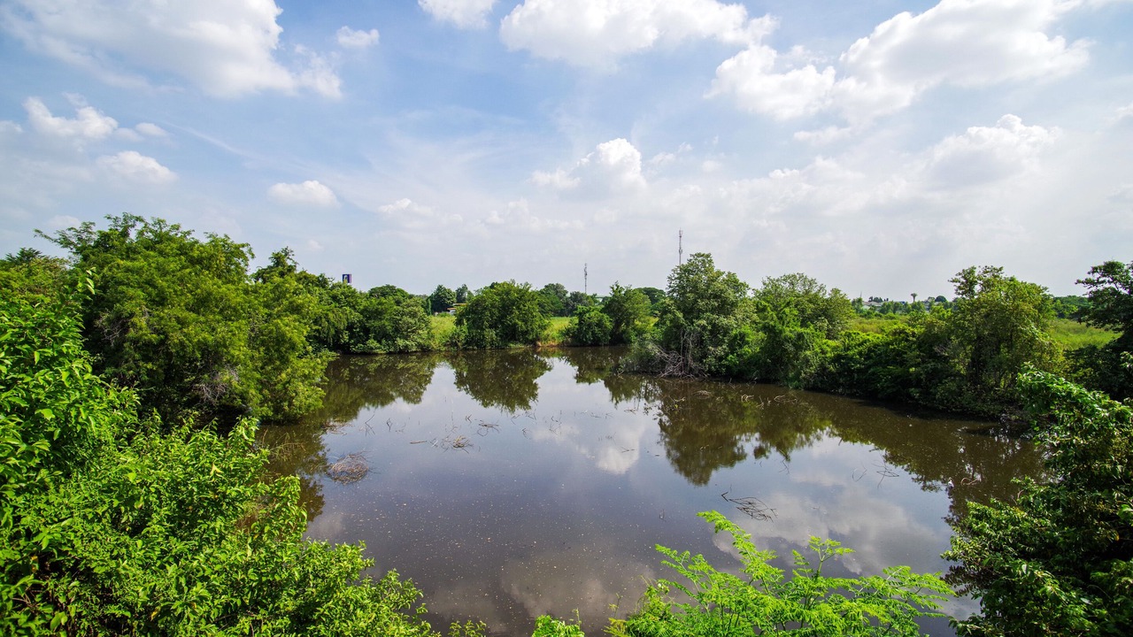 Photo of Outdoor in Ayutthaya