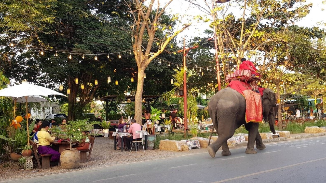 Photo of Outdoor in Ayutthaya