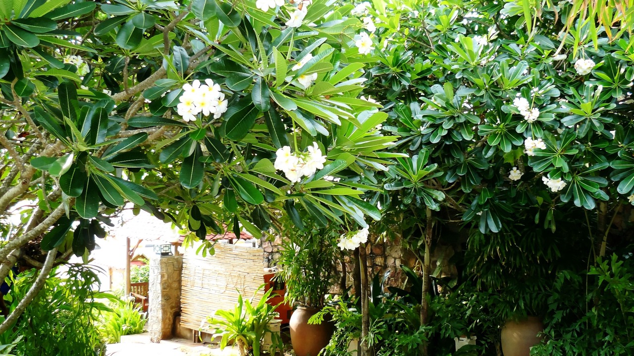 Photo of Outdoor in Krong Kaeb