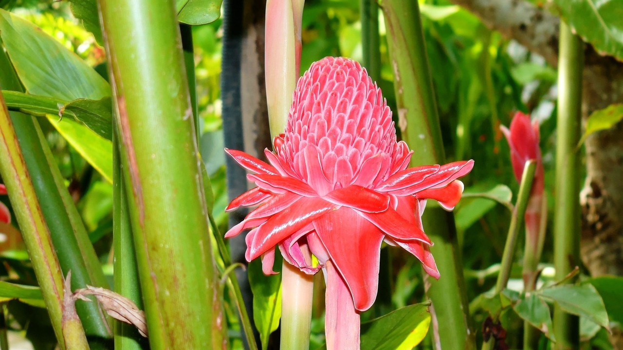 Photo of Outdoor in Krong Kaeb