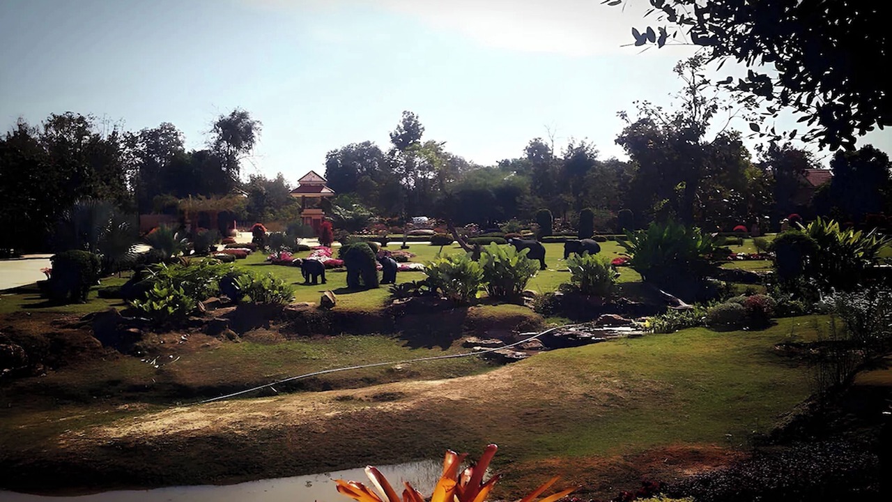 Photo of Outdoor in Sila