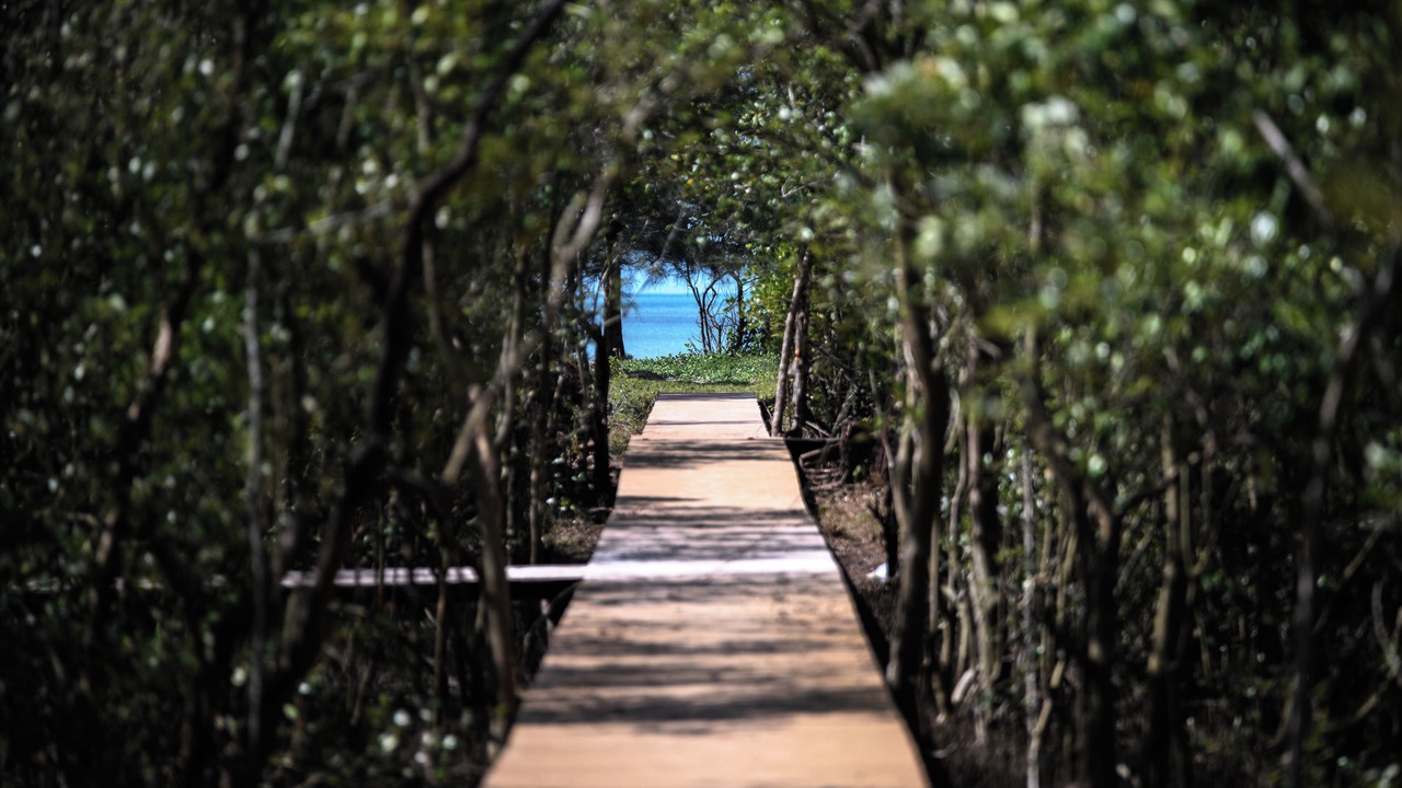 Photo of Outdoor in Sikao