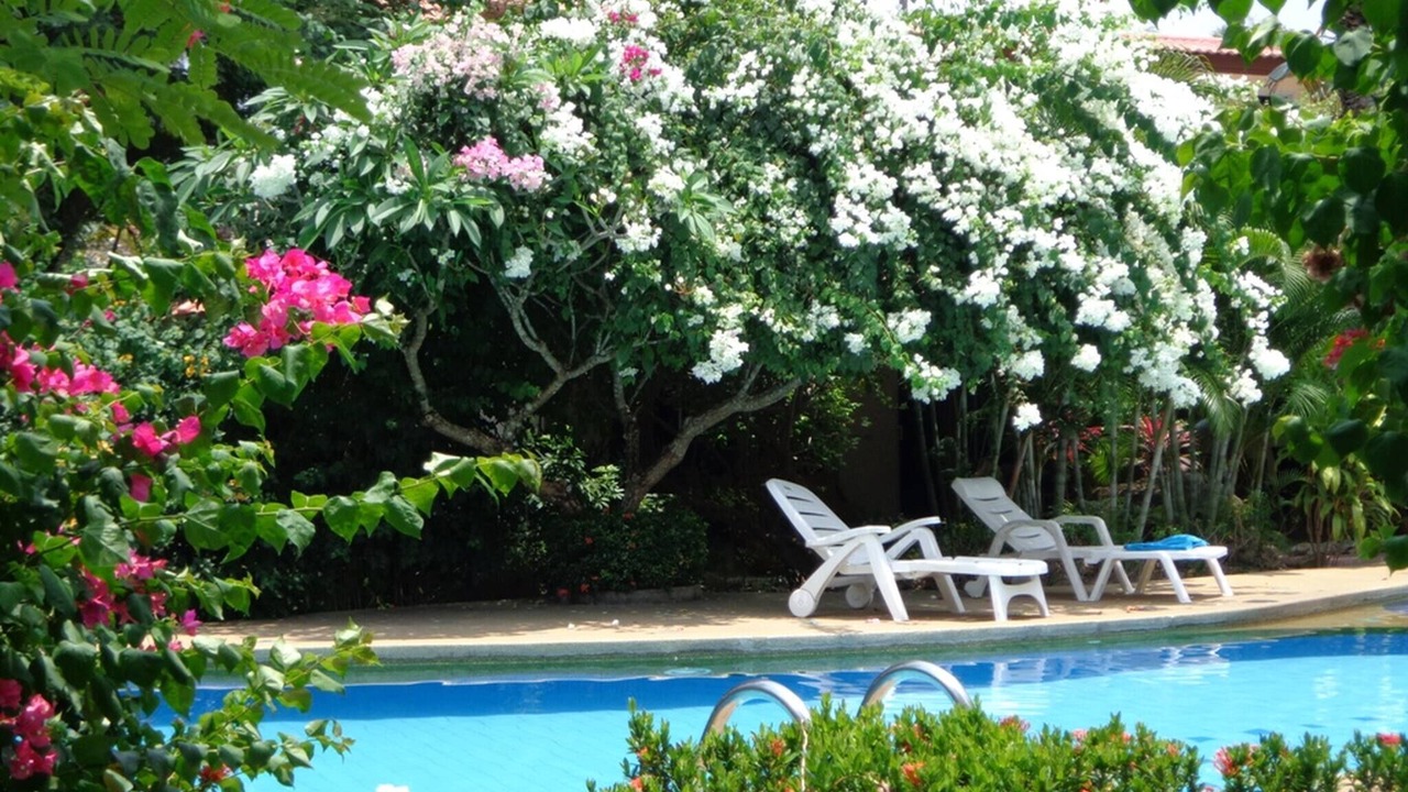 Photo of Outdoor in Bang Po