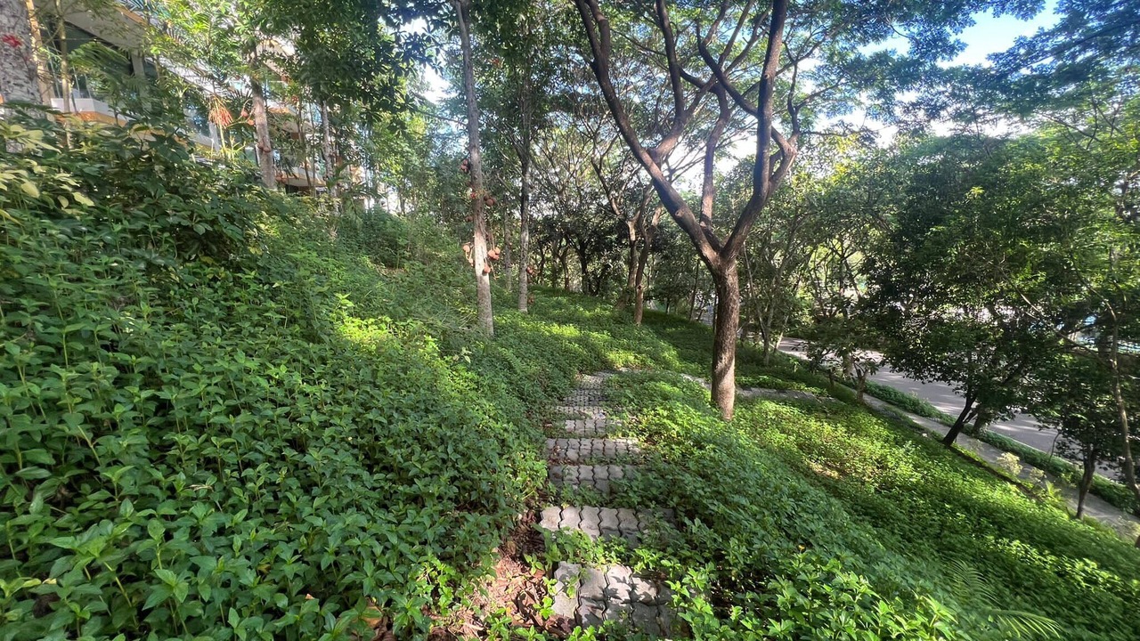 Photo of Patio Balcony in Pong Ta Long