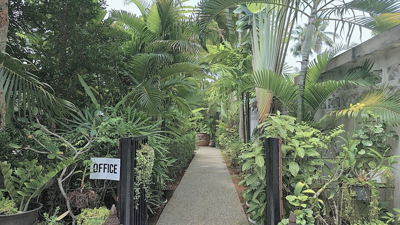 Photo of Outdoor in Nong Thale