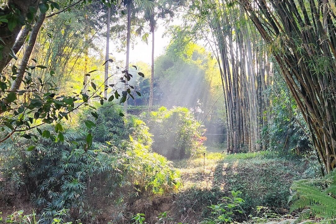 Photo of Outdoor in Wieng